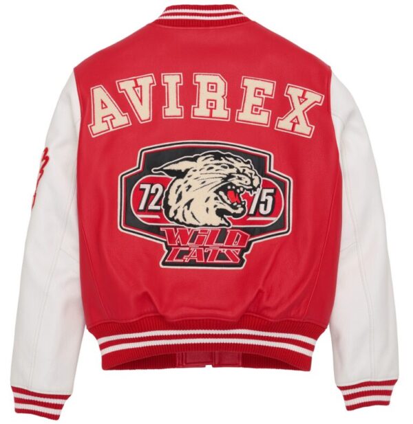 AVIREX WILD CAT VARSITY Leather Jacket